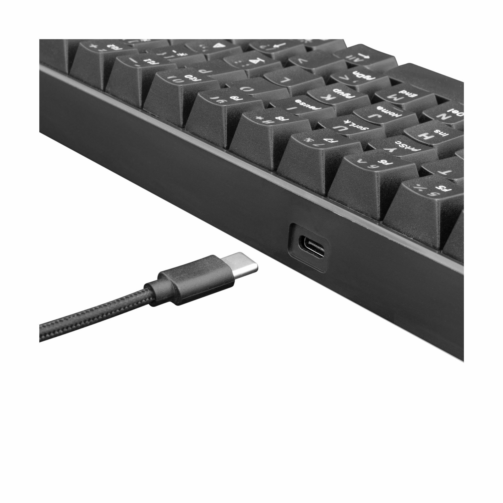 white_shark_tipkovnica_usb_črno|modra_mehanska_stikala_slo_gk-2022_shinobi-b_4.jpg